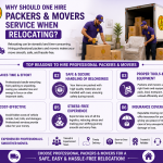 Why Hiring a Professional Packer and Mover Can Save You Time and Money